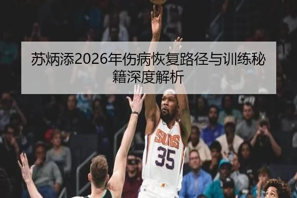 苏炳添2026年伤病恢复路径与训练秘籍深度解析