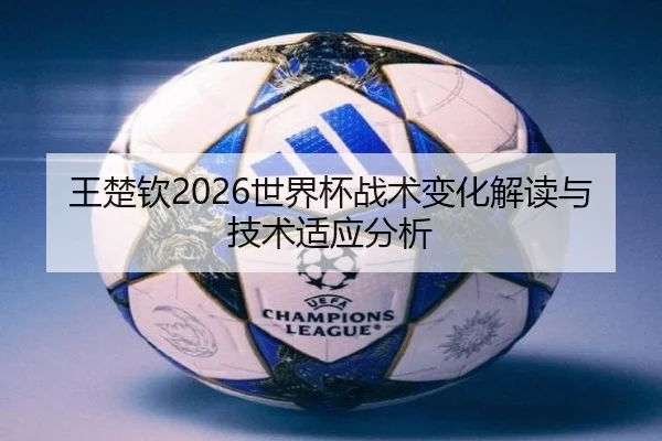 王楚钦2026世界杯战术变化解读与技术适应分析